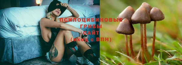 a pvp Лиски